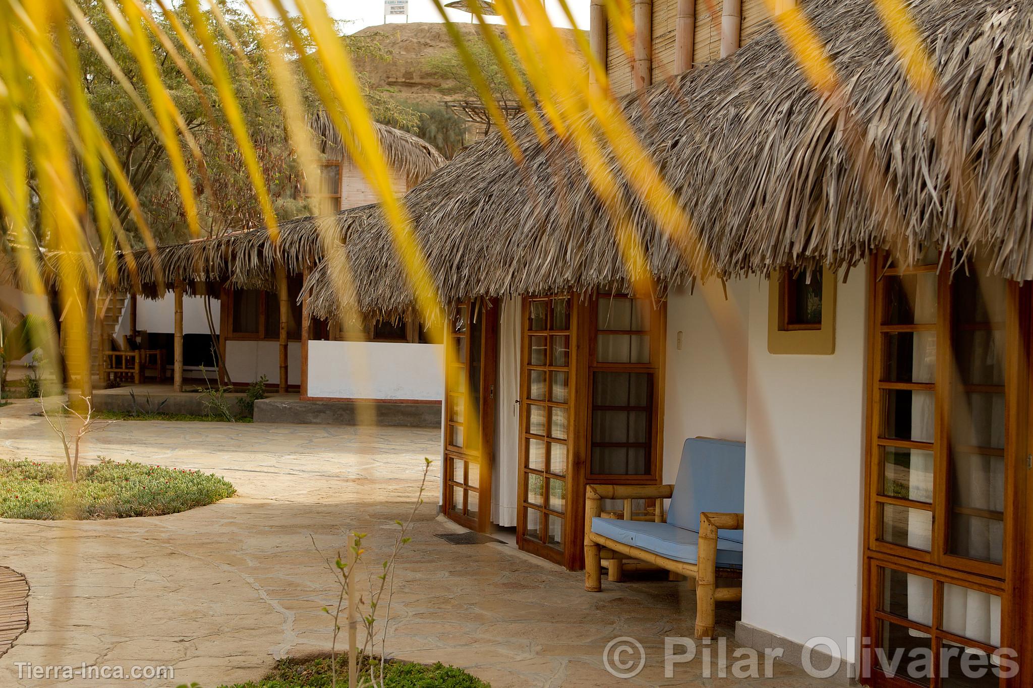 Hotel en la playa Los rganos