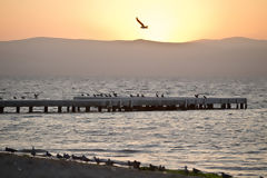 Hotel Libertador de Paracas