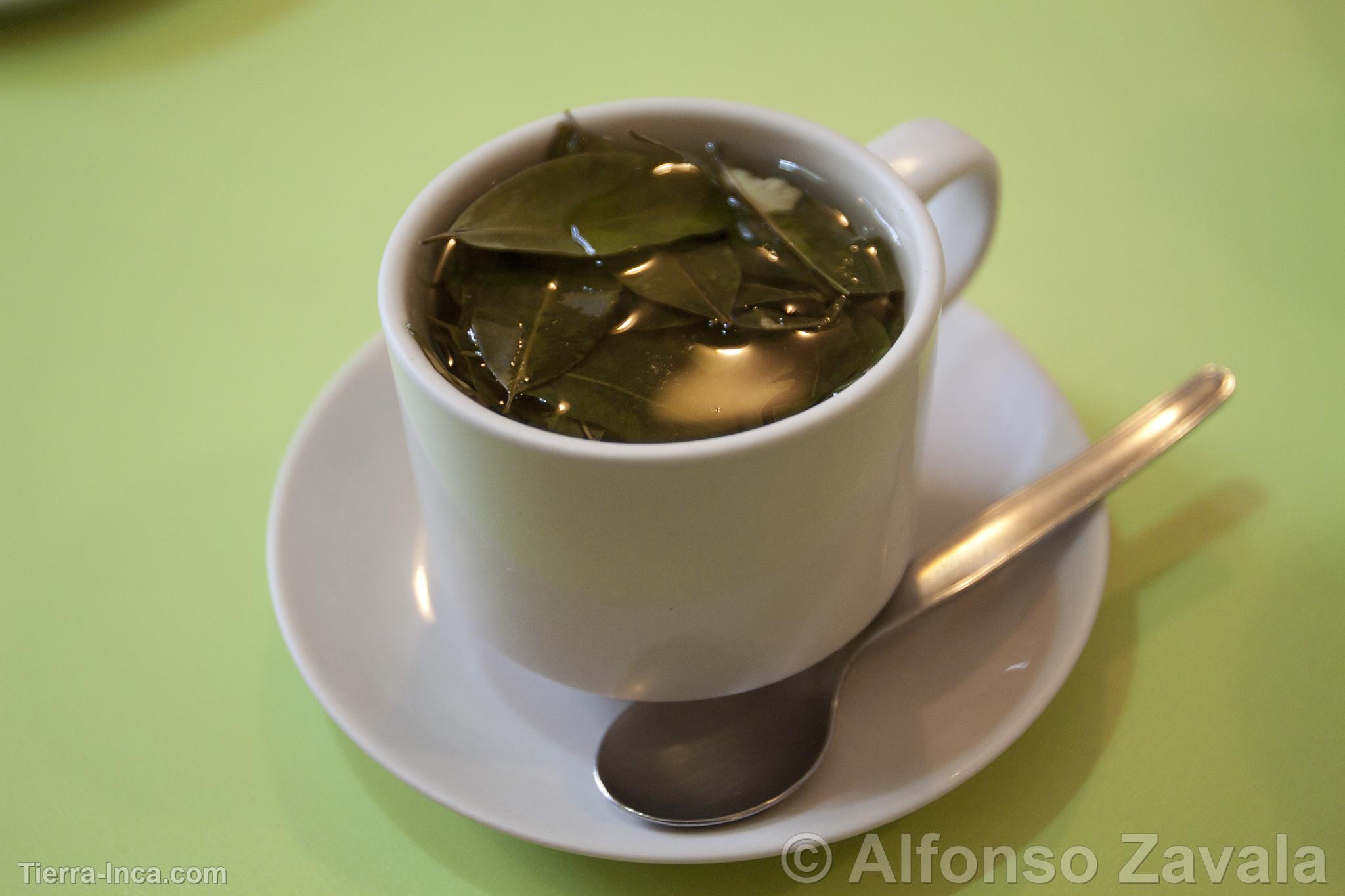 Donde Comprar Mate De Coca En Barcelona