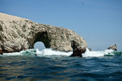 Islas Ballestas, Paracas