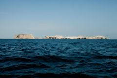 Islas Ballestas, Paracas