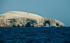 Islas Ballestas, Paracas