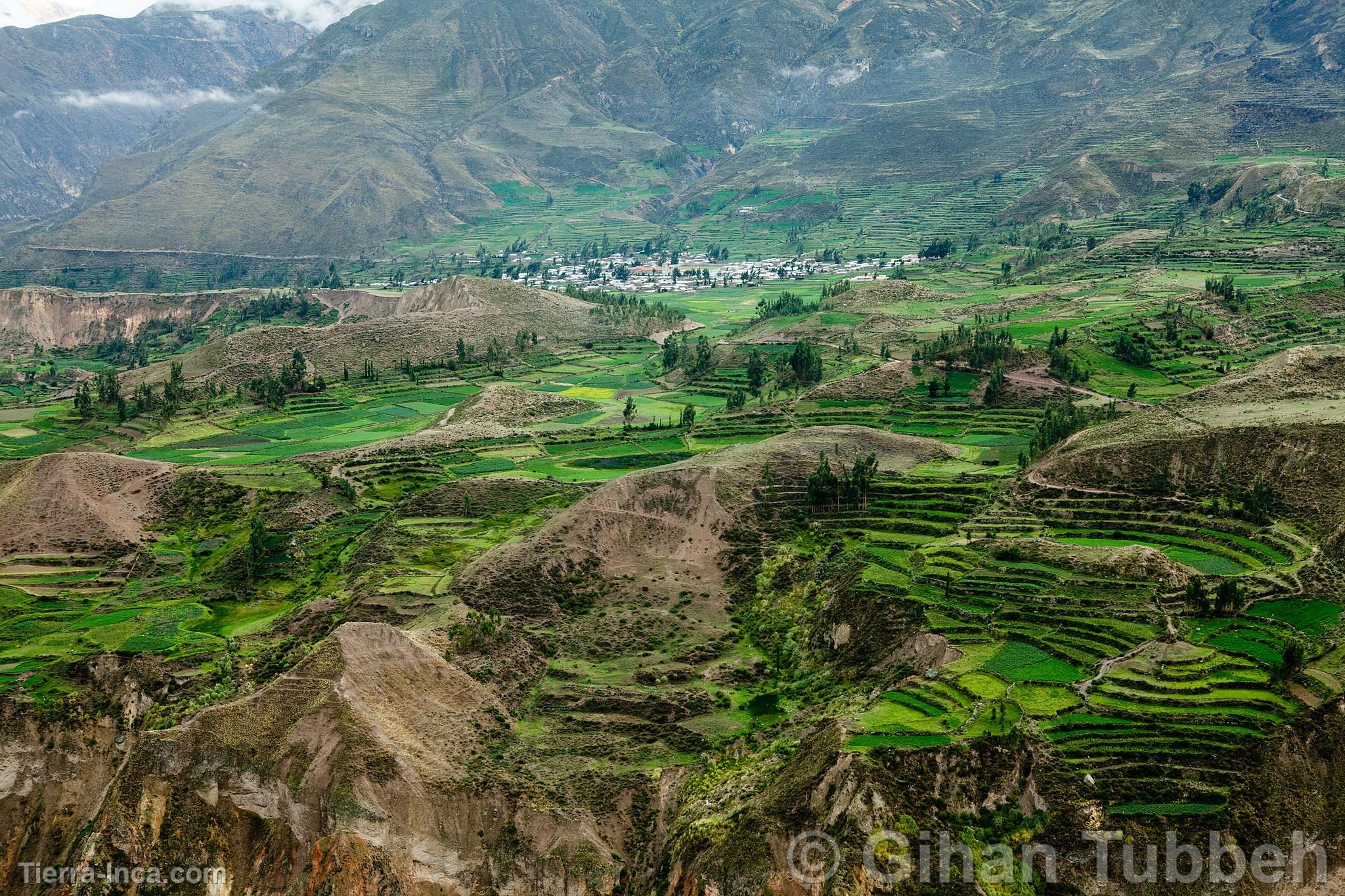 Can del Colca
