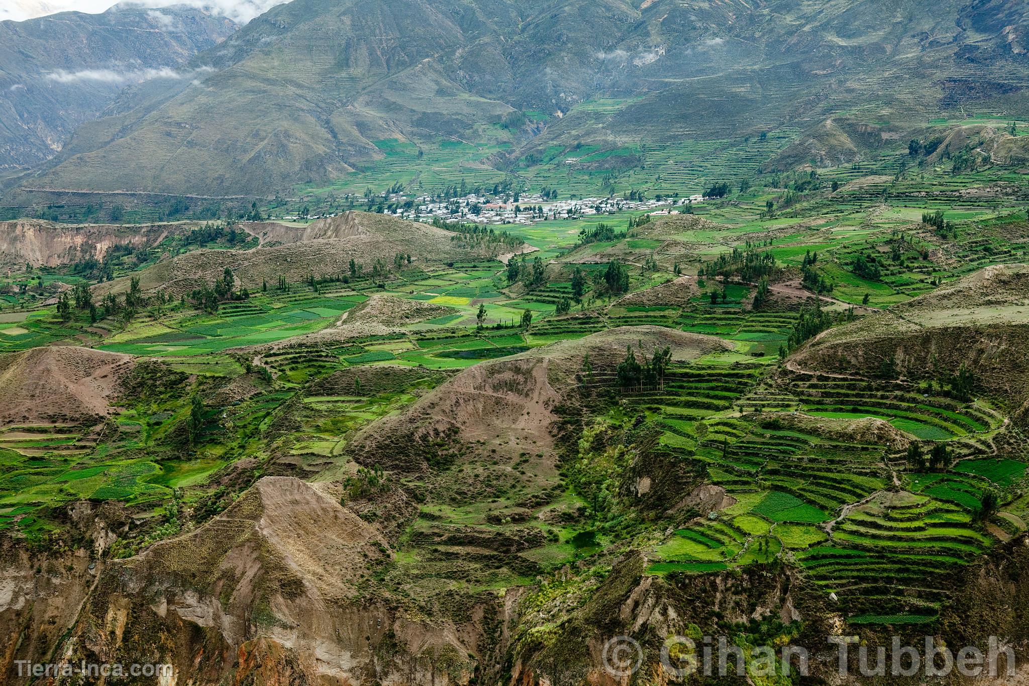 Can del Colca