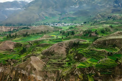 Cañón del Colca