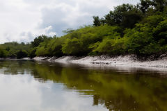 Santuaro Nacional Los Manglares de Tumbes