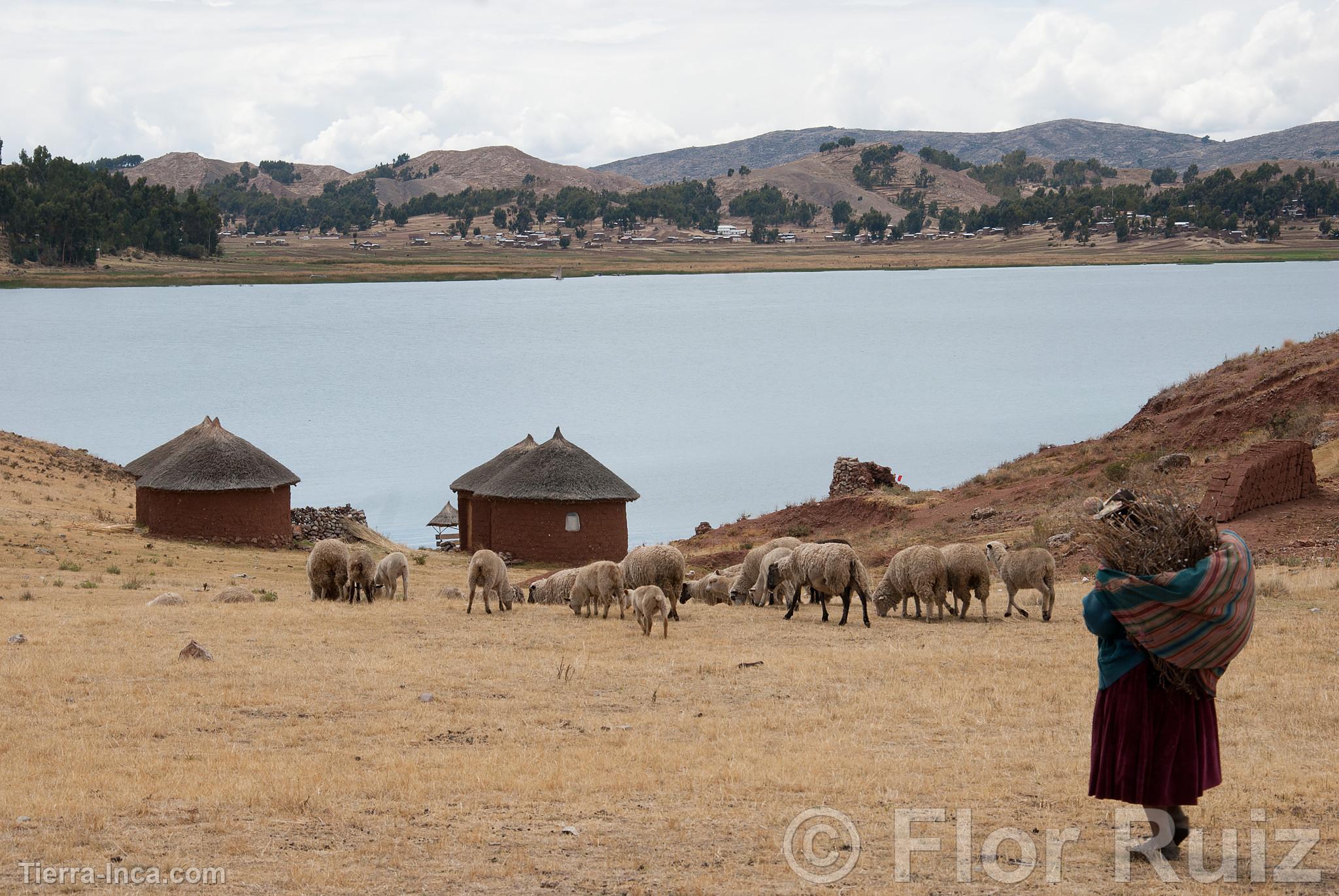 Isla Tikonata en el Lago Titicaca