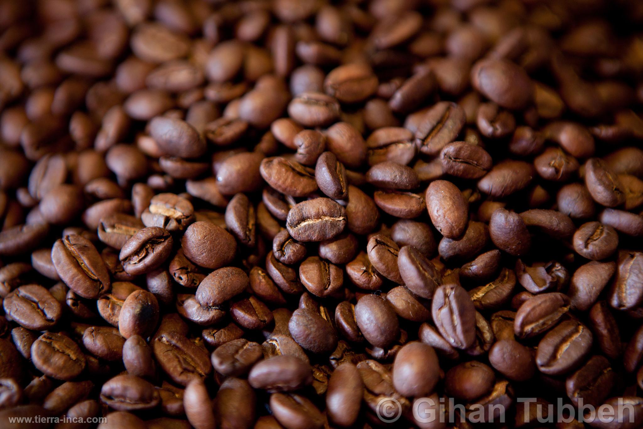 Granos de caf