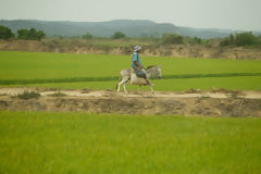 Paisaje de Tumbes