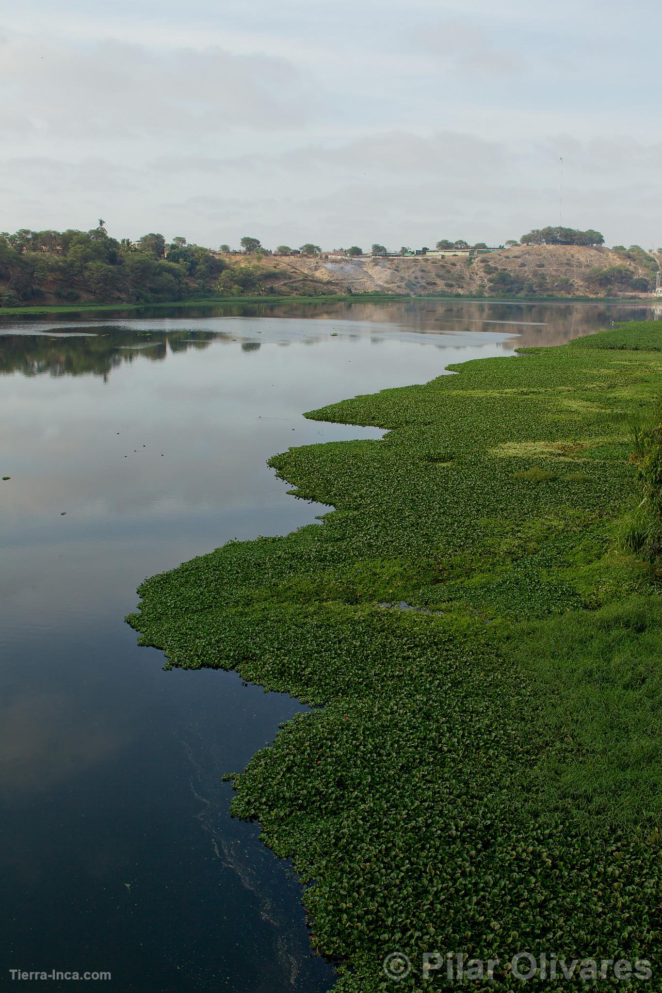 Estuario de Virrilá