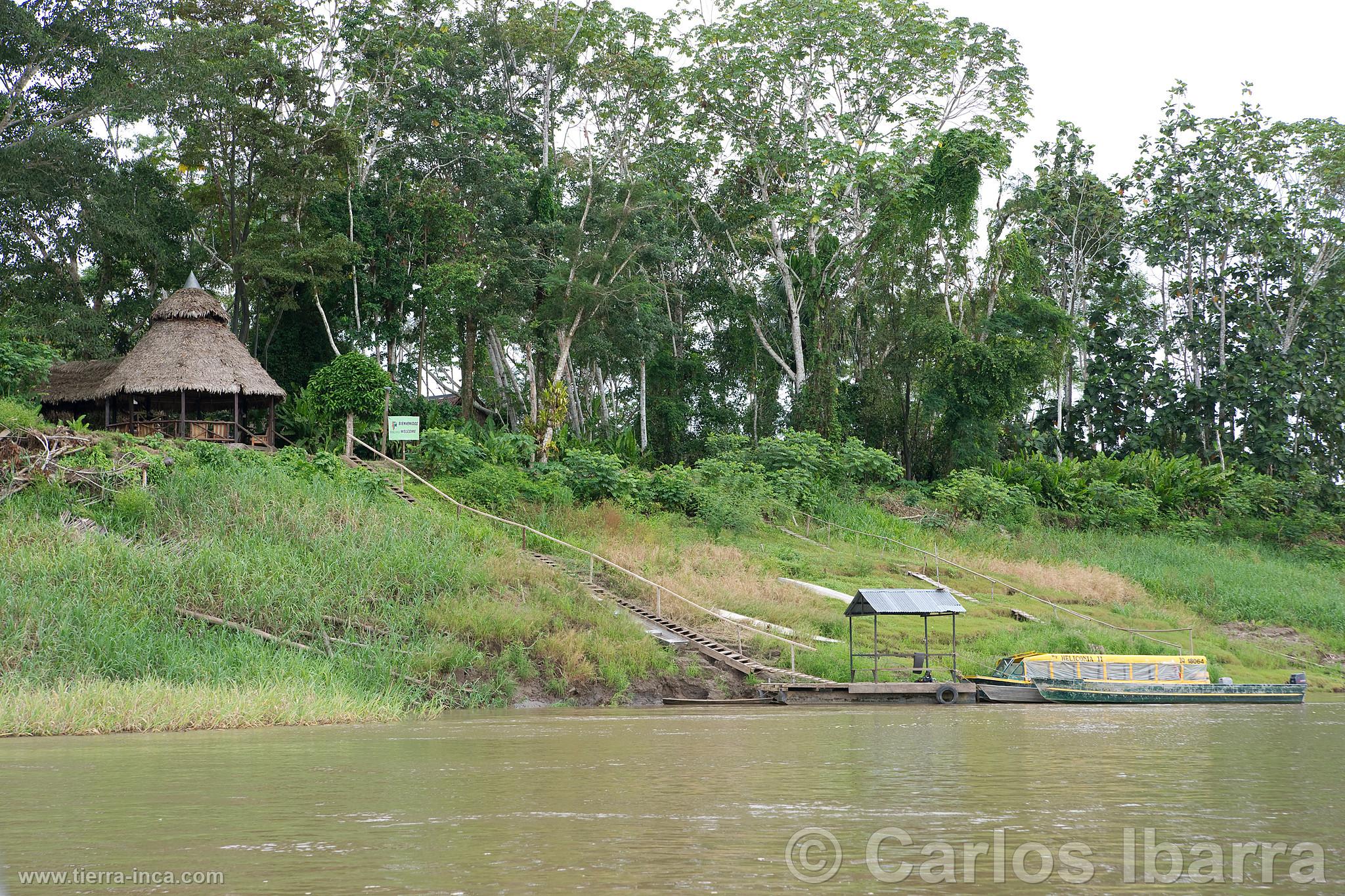 Rivera del río Amazonas