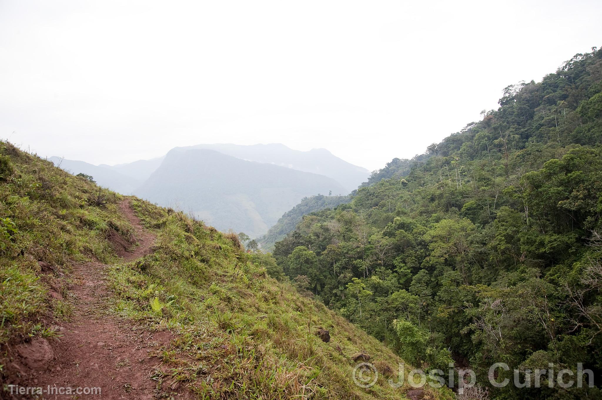 Paisaje de Pozuzo