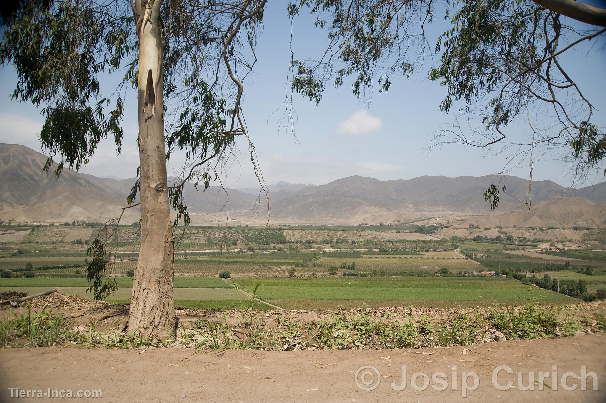 Campiña de Azpitia