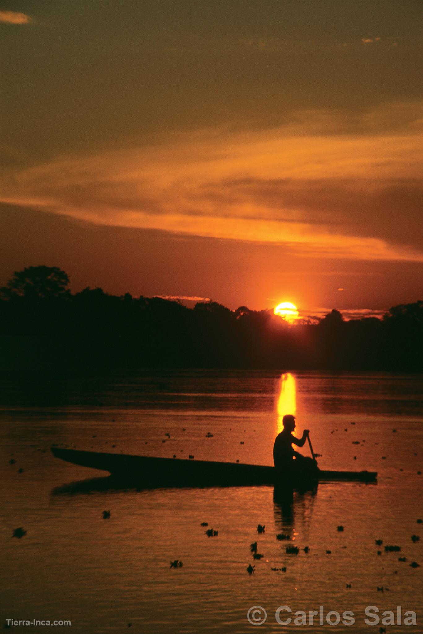 Laguna El Dorado, Pacaya-Samiria