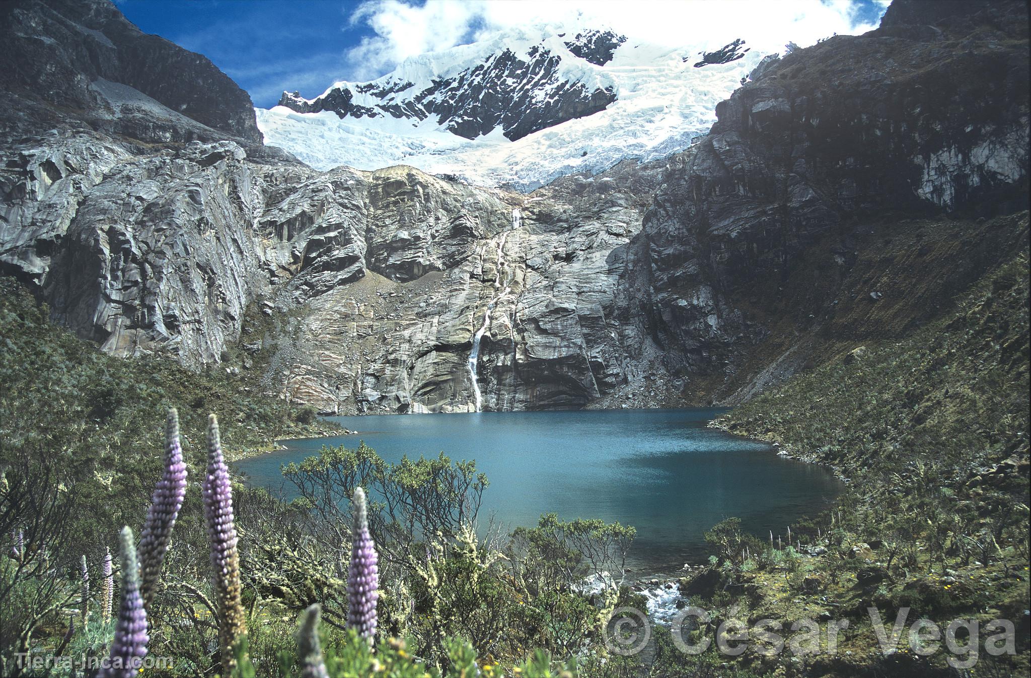 Laguna y nevado Maparaju