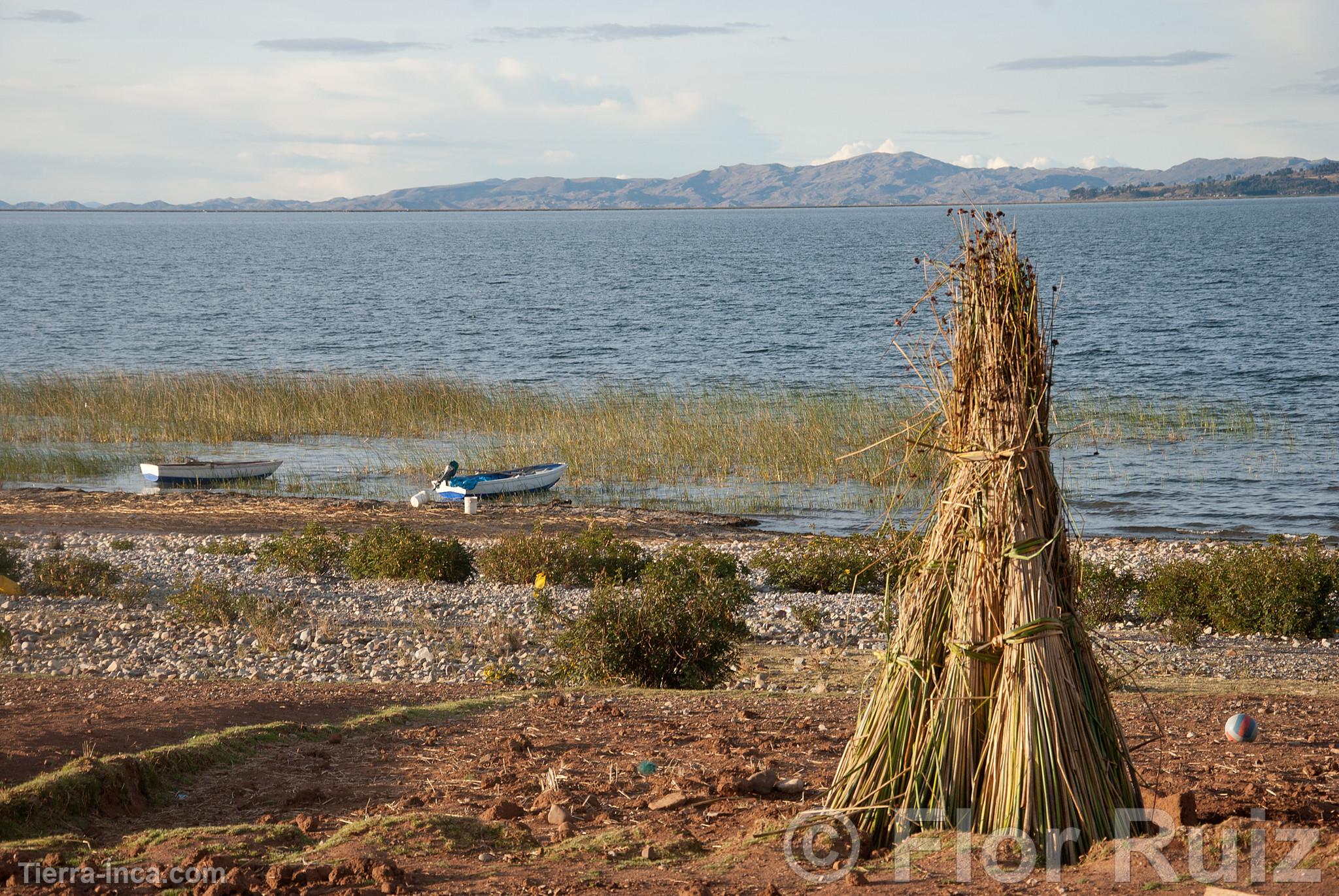 Comunidad de Luquina chico y Lago Titicaca
