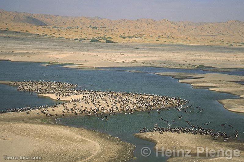 Hidrografa de Piura