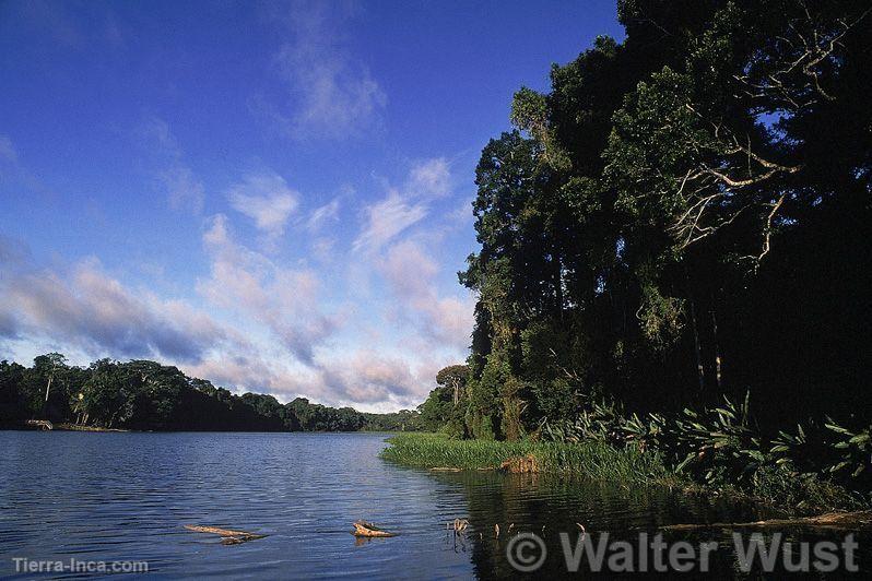 Selva amazónica