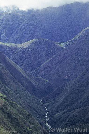 Cordillera del Cóndor