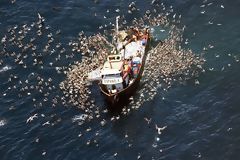 Pesca frente a las costas limeas, Callao