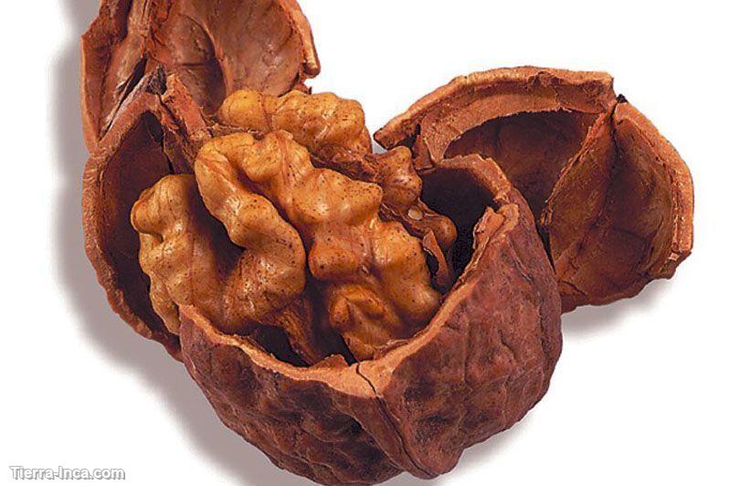 Nueces