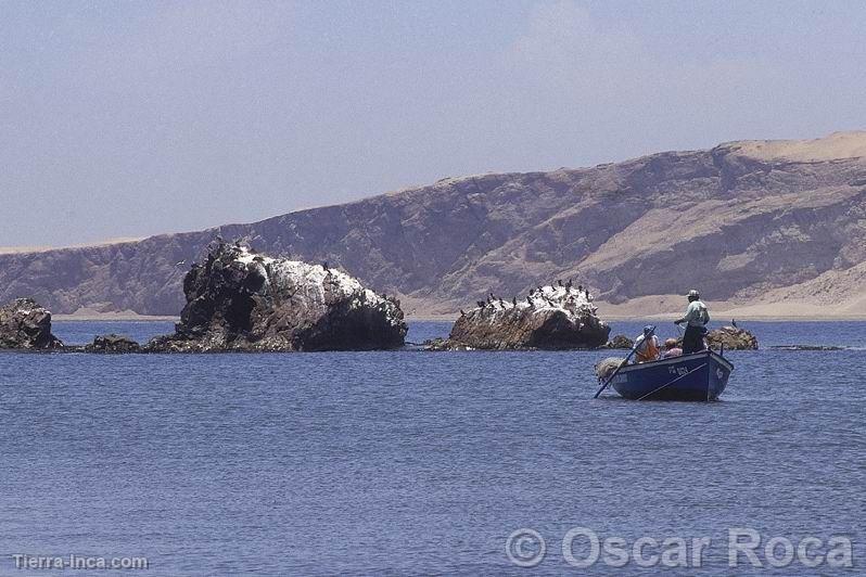 Litoral pisqueo, Pisco