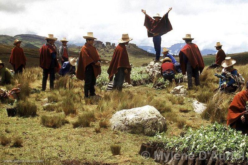 Campesinos cajamarquinos, Cajamarca