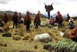 Campesinos cajamarquinos, Cajamarca
