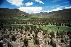 Paisaje de pramo. Huancavelica