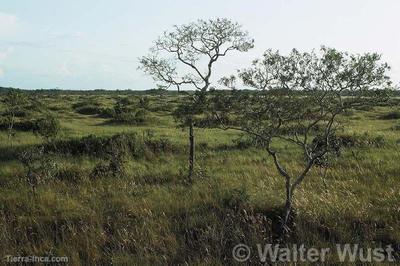 Santuario Nacional Pampas del Heath