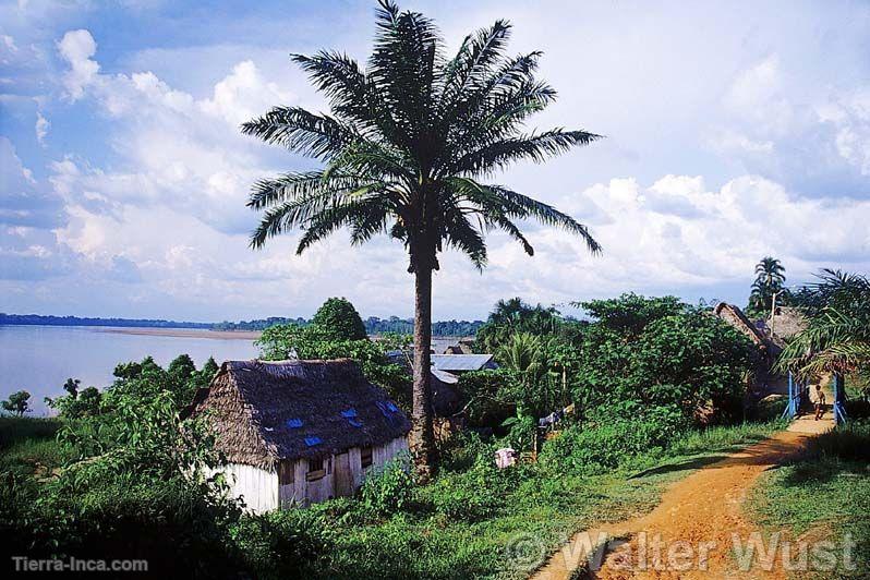 Parque Nacional del Manu