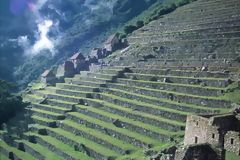 Andenera en Machu Picchu