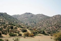 Valle de La Leche, bosque seco