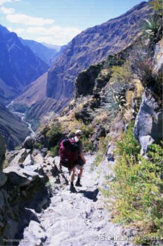 Colca