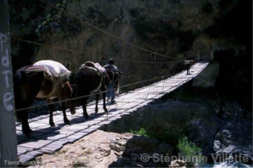 Colca