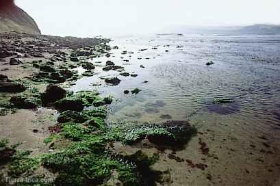 Vista del litoral, Paracas