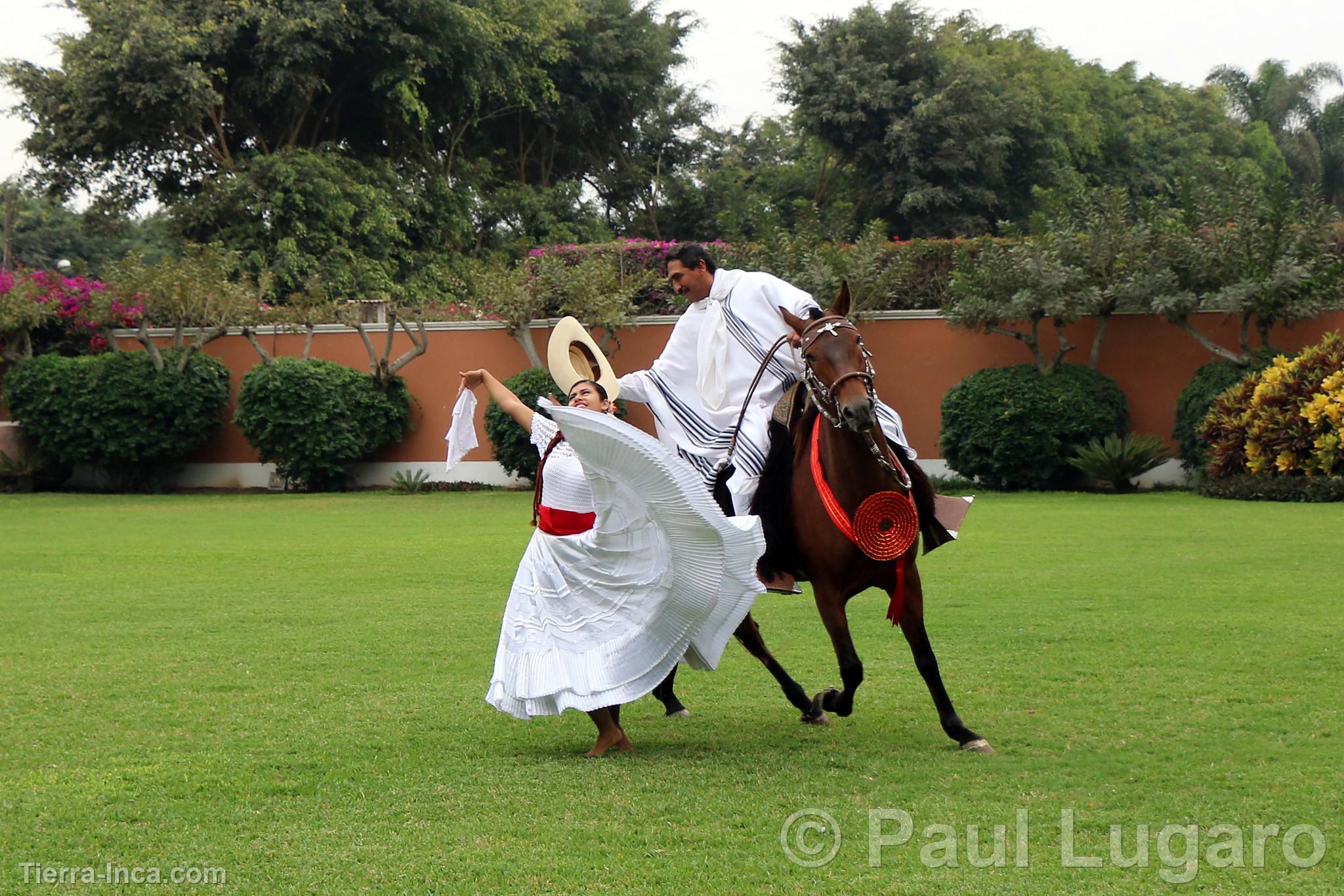 La Marinera y el caballo de paso