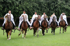 Caballos de paso