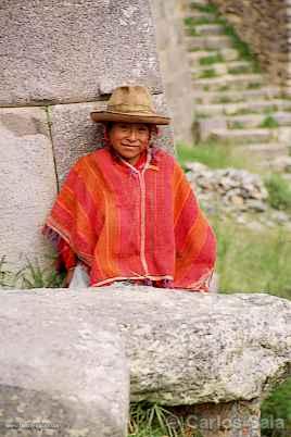 Nio cusqueo, Cuzco