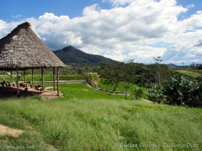 Recreo Miln (Moyobamba)