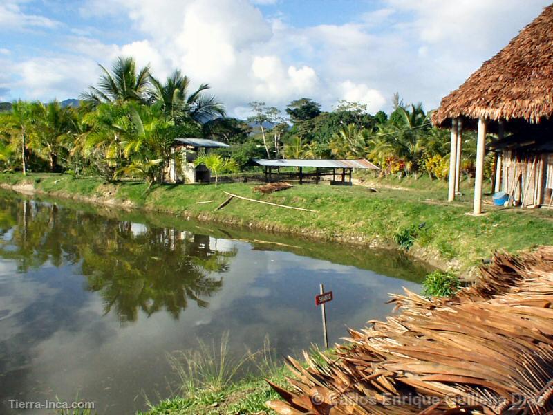 Recreo Miln (Moyobamba)