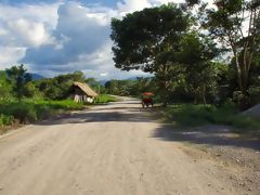 Shampuyacu (Alto Mayo)