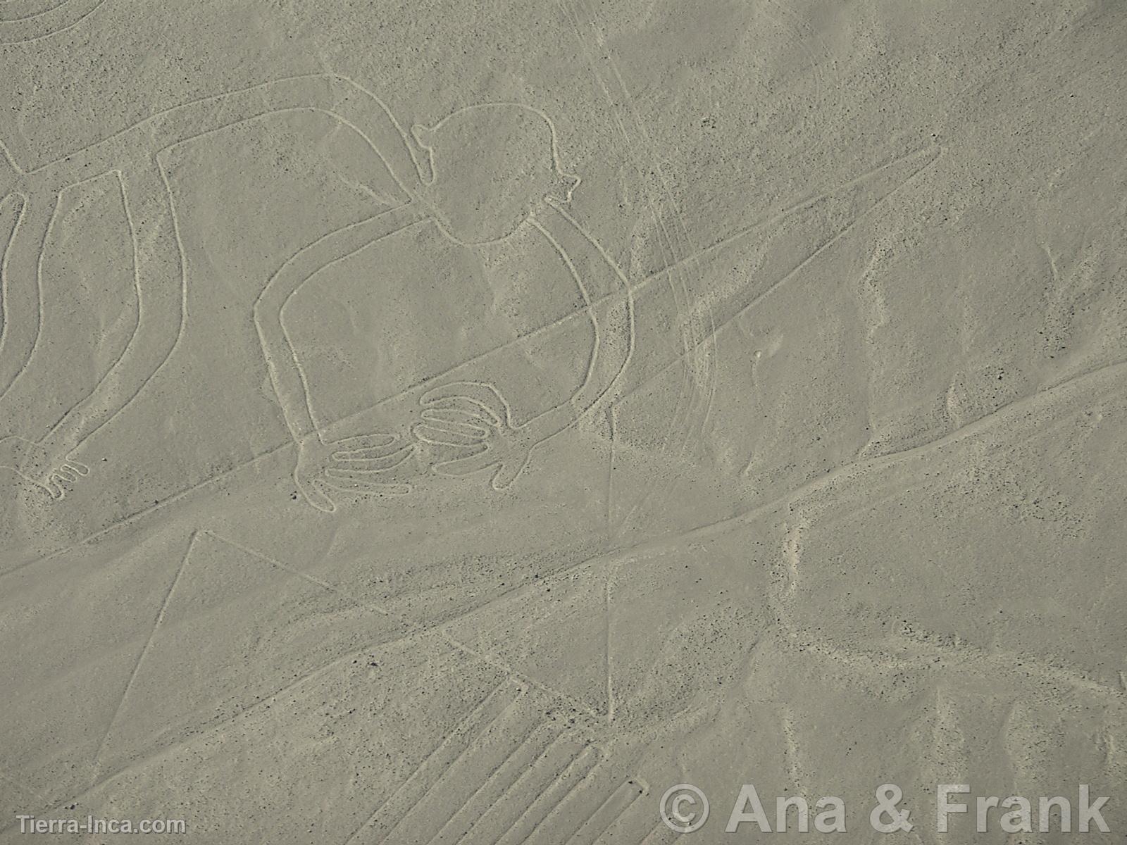 Nazca
