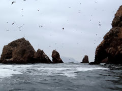 Islas Ballestas, Paracas