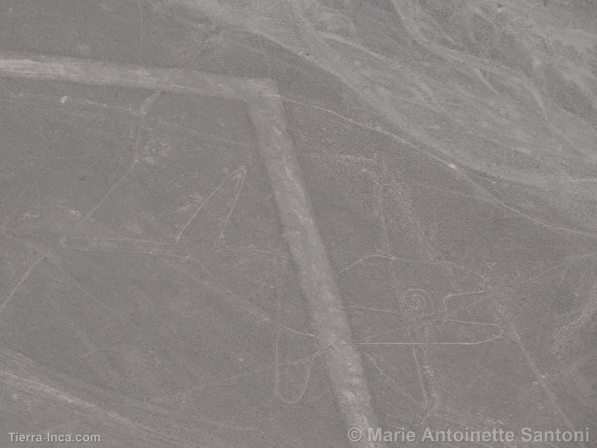 Lineas de Nazca