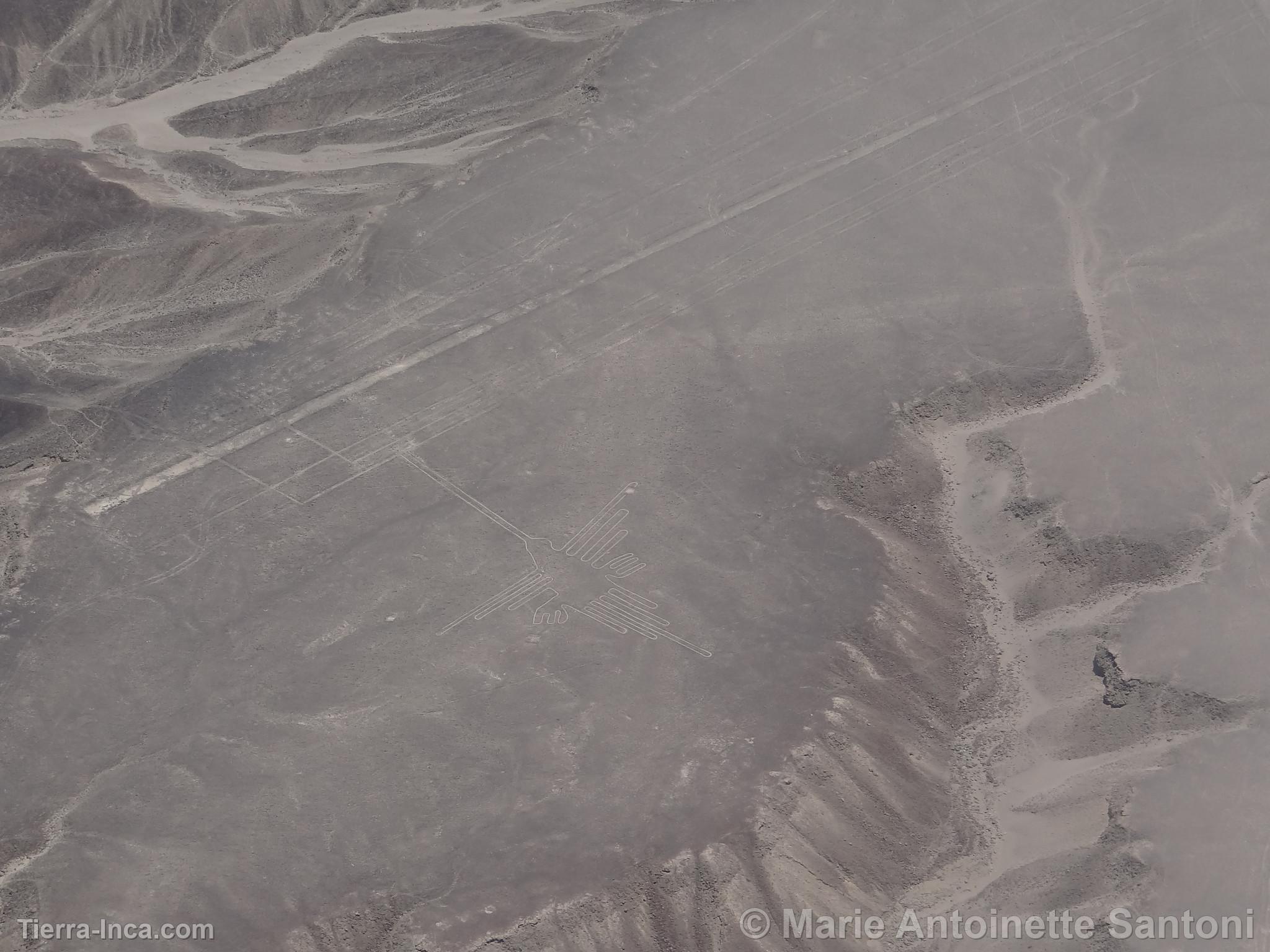 Lineas de Nazca