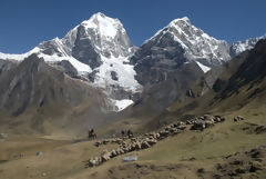 Cordillera de Huayhuash