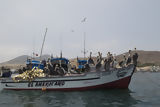 Botes de pescadores en el balneario de Pucusana