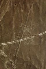 Líneas de Nazca