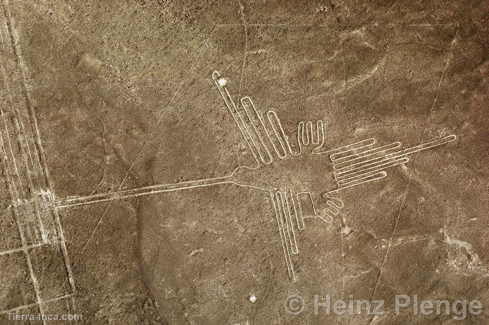 Lneas de Nazca